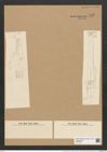 Ardissonia crystallina var. ? bacillaris Grun. (de-Toni-Nr.: Genus 68, Species 2675) Zeichnungen Sammlung Grunow Nr. 5465 (NHMW-BOT-W0373887)